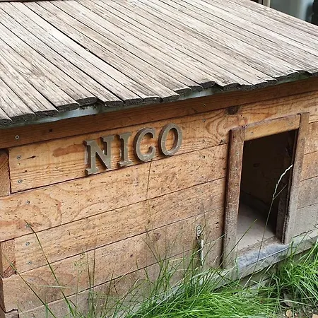 Апартаменты Vivienda Turistica Casa Trigo Хака